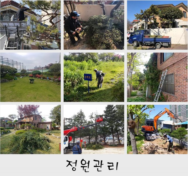 정원 관리 : 가지치기, 비료주기, 잔디관리, 병충해관리, 잡초제거
